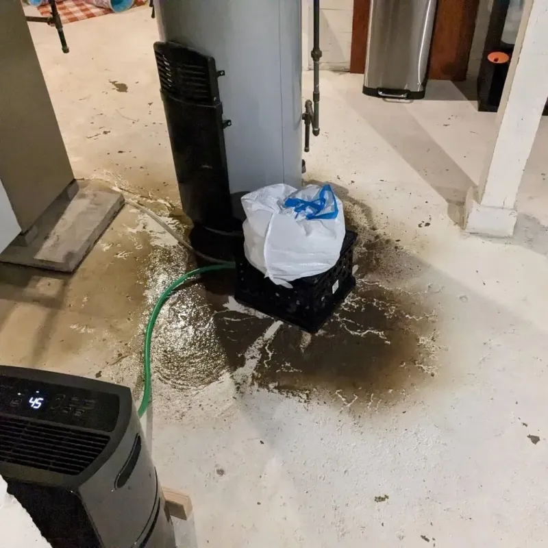 Sewage Backup Cleanup Service in Roosevelt, UT